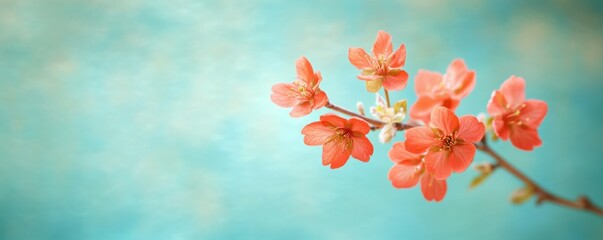 Delicate coral blossoms herald the arrival of spring against a dreamy azure sky bokeh background