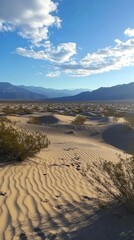 A vast desert with rolling sand dunes.
