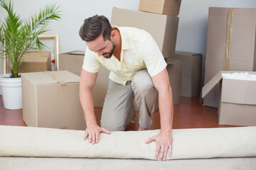 Beige area rug rolling up amid stacked boxes, potted green plant inside home on hardwood floor