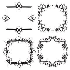 Summer Blossom And Wildflower Designs Decorative Vector Floral Border Packs
