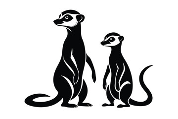 Two black meerkats stand attentively, one larger than the other, on a white backdrop