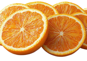 Orange fruit slices isolated on transparent background. PNG.