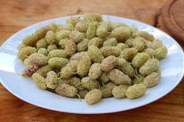 food, fruit, blackberry, berry, black, blackberries, fresh, ripe, healthy, sweet, bowl, berries, nature, dessert, organic, white, summer, isolated, freshness, juicy, closeup, diet, caviar, macro, blue