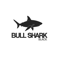 shark isolated on white background.