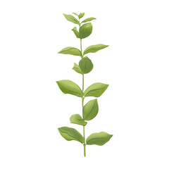 Single green plant stem with fresh leaves. Isolated botanical element, ideal for ecodesign, packaging or educational materials.