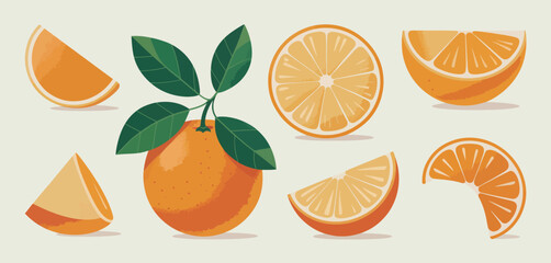 Fresh Oranges with Leaves Slices and Segments Illustration