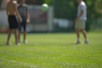 A lively group of young men are enthusiastically playing soccer on a vibrant green field filled...