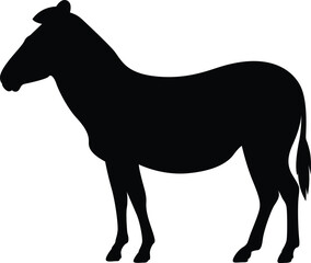 Zebra. Horse. Black Zebra. Silhouette. Animals. Vector. Clean and minimal design, perfect for logos, icons, conservation posters, and animal-themed artwork.