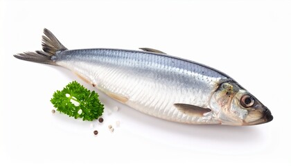 Fototapeta premium fish on a white background