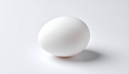egg on white background