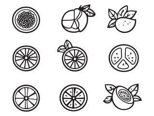 Refreshing Tropical Passionfruit Sorbet Simple Line Art Drawing 