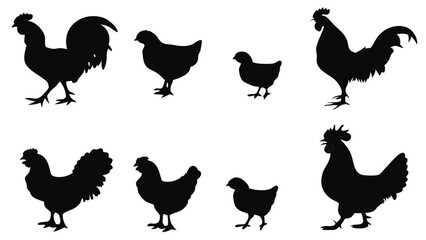 Dark silhouettes of roosters, hens, and chicks stand against a clean white background