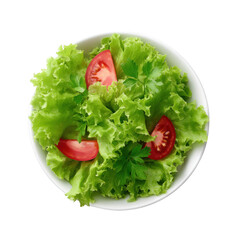 Fresh salad bowl with crisp lettuce, vibrant tomatoes, and sprinkled herbs, ideal for healthy meal inspiration.