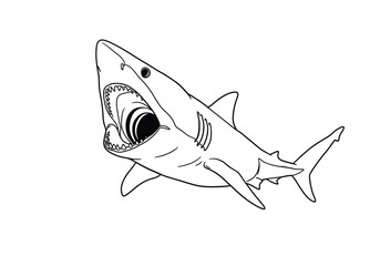Basking shark drawing. It is a black and white outline image of a basking shark, a large, gentle filter-feeding shark with its mouth open. Vector sketch line art draw.