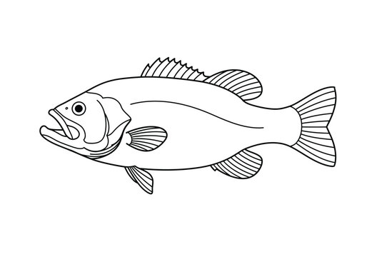 black and white bass fish outline clip art preview