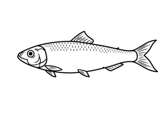 Herring fish drawing. It is a black and white outline image of a herring, a small, silvery marine fish that often swims in large schools. Vector sketch line art draw.