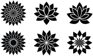 Bundle of dahlia sunflower lotus sun flower  meri gold icon with multiple layers of pointed petals.