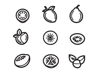 ummer Passionfruit Sorbet Vector Outline Design For Creative Use
