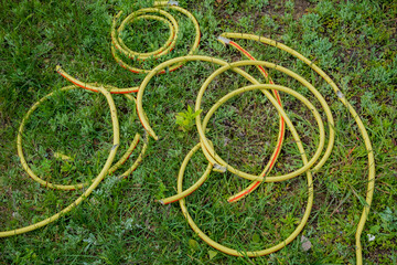 Yellow garden hoses curl on green grass, basking in the soft afternoon sunlight
