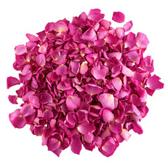 Fototapeta premium pink rose petals isolated on white or transparent background
