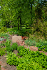 Fototapeta premium Lush plants thrive in a serene garden with stones and vibrant foliage under bright sunlight