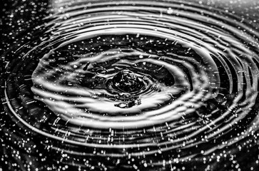Splash - makrofotografia kropli wody