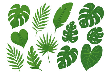 Tropical Jungle Leaves Collection. Monstera, Palm, Banana, Heart Shaped Leaf. Exotic Rainforest Botanical Foliage Set. Lush Green Plant Isolated Elements for Summer Nature Design, Decoration, Print