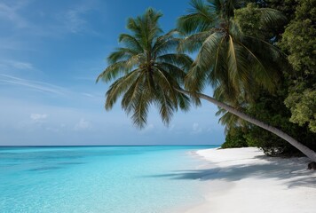 Tropical paradise: palm trees and turquoise waters on a sunny beach