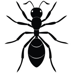 ant vector