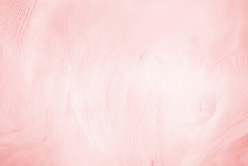 Soft Pink Feather Pattern Texture, Elegant Abstract Background