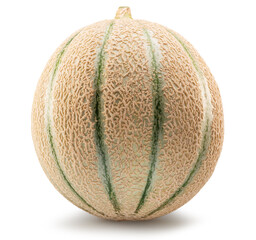 Cantaloupe melon isolated on white background. File contains clipping path.