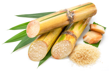 Sugarcane cuts and pile of brown sugar isolated on white background.