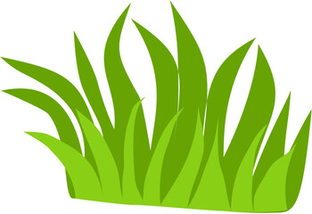 flat green grass