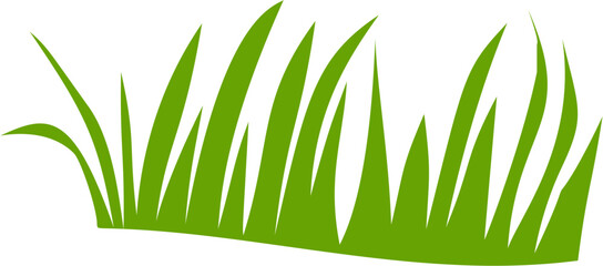 flat green grass