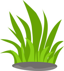flat green grass