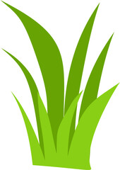 flat green grass