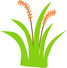flat green grass