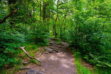 Rugged path through Padley Gorge in Derbyshire.