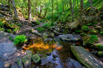 Burbage brook flowing over gritstone rocks in Padley Gorge, Derbyshire.