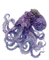 Obraz premium Detailed watercolor painting of a fantastical octopus with intricate patterns.