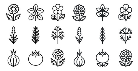 Botanical outline icons set – plant, floral, nature symbols