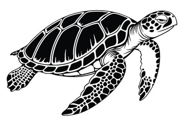 Black and white sea turtle floats gracefully with a peaceful look on its face