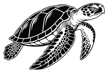 A monochrome sea turtle cruises with bold shell details and distinctive markings visible