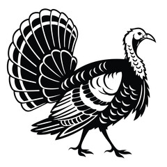 Strutting wild turkey displays its tail feathers, rendered in black and white lines