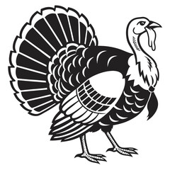 Isolated turkey struts proudly with its large tail feathers displayed in black and white