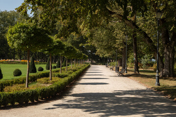 Sun-Dappled Pathway Lined with Trees in Traku Voke Park, Lithuania