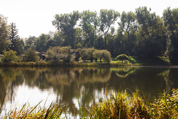 Tranquil Pond Reflects Green Trees in Traku Voke, Lithuania