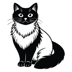 birman vector