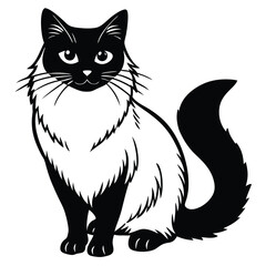 birman vector