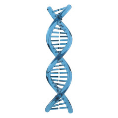 3D DNA Helix Model Genetic Code Science Biology